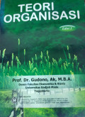 Teori Organisasi